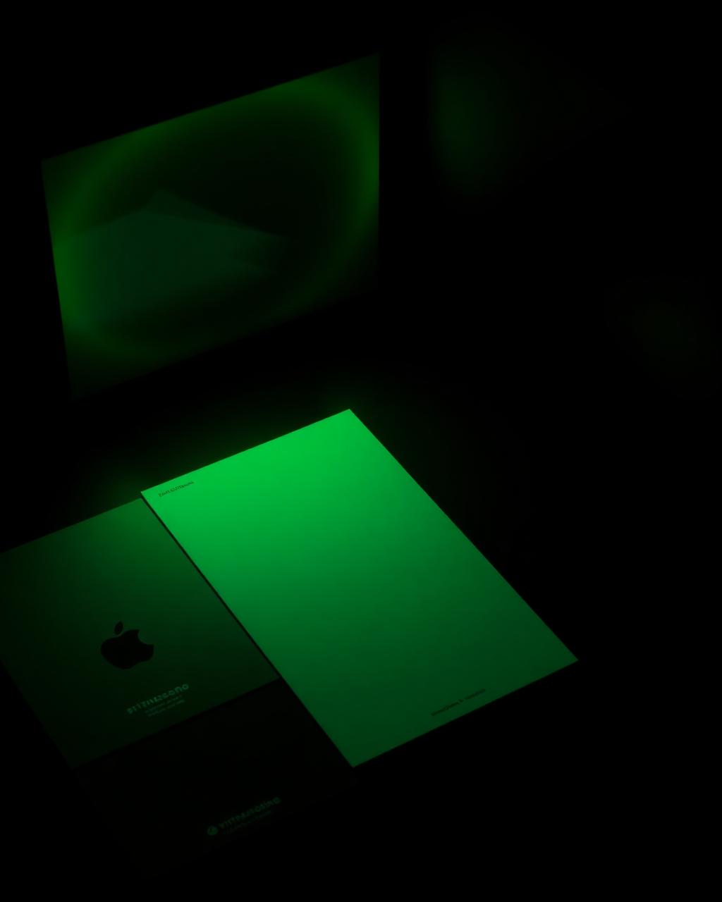 Brand identity materials in neon light